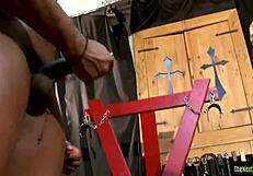 Captive Jock Sucking Black Cock Gets Cumshot