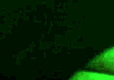 a friendly ride on the bike