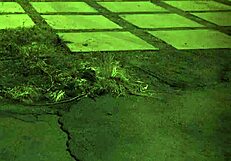 Arrested For Bondage! BDSM And Public Sex Make Doll Cum!