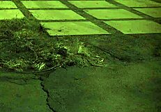 Arrested For Bondage! BDSM And Public Sex Make Doll Cum!