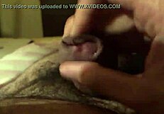 हॉर्नी गे फकिंग टिट्स के साथ