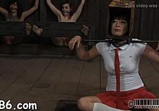 Sadomasochism songs exploring themes of bondage and spanking.