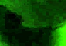 Gayroom ajs hard boner gets intense blowjob action