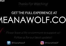 Impulsive III: Where’s Meana Wolf Taking Us?