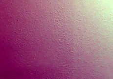 Mature woman feels pleasure as i fuck her phat booty