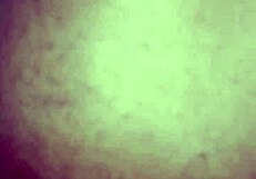 enchendo o rabo da preta de leite