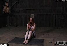 Free Sadomasochism Erotica Explores Intense Fetish Desires