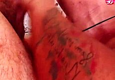 engoli facil este pauzao do novinho da barra funda