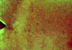 Filming the neighbor's dance, but she notices the camera