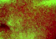 Filming the neighbor's dance, but she notices the camera