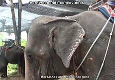 Blowjob as punishment!