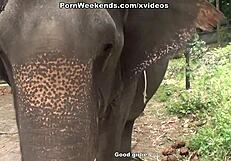 Blowjob as punishment!