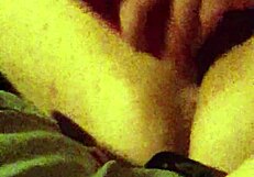 Watch Liz Intensely Fuck Herself With That Dildo