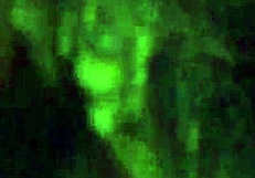 Wow, Intense Pussy Play With Toys And Vibrator On Hairy Pussy!