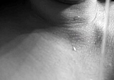 charm of sperm on tits