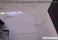 Madison Wilde Proudly Sucks Allen Swift in POV Blowjob