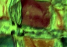 Icey Candi Twerks On Big Black Cock In Doggystyle