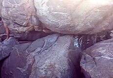 Sunny day turned wild, called the hot Latina for a ride, ended up banging in lingerie with oral fun.