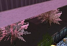 gay sex with intense passion