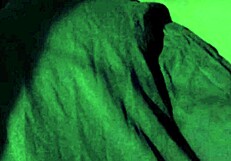 Novinha Não Consegue Com Insônia Se Masturbando E Desejando Rola?