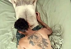 Gay hairy guy gets romantic blowjob to start the day.