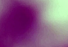 i can't get enough of this shady slut's wild actions