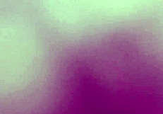 i can't get enough of this shady slut's wild actions