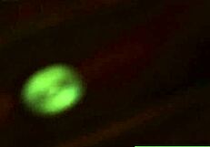 Sexy Mia And Leya Fuck Each Other For The First Time