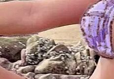 African beauty in bikini on the beach gets me jerking off.