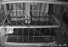 The Cagecam Shows A Non-Edited Feed From The Cage