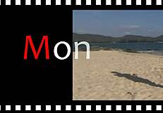 monika in shiny pantyhose on the beach