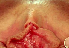 Sonya Givemepink Masturbates Solo With Toys And Heels