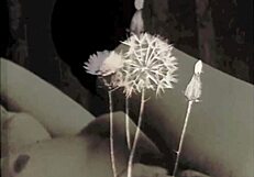 Vintage Bisexual Threesome Features Retro Lesbian Pussy Play And Hairy Beaver Exploration In Antique Setting