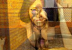 Alternate Existence 51 Game Explores Emotional Realities