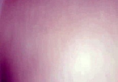 cadela na coleira foi servir o macho com o cu lamber a porra e deixar tudo limpinho?