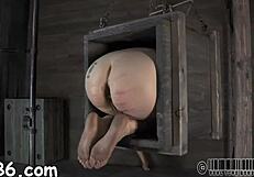 Sadomasochism Video Free: Bound Pussy Fucking and Cock Sucking?