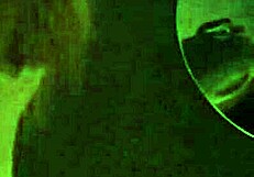 cheating neighbor craves your cock!