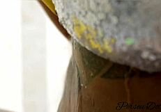 MY NEIGHBOR TAKES A BATH IN THE BACKYARD, GOES TOPLESS, AND I CAN'T RESIST HER