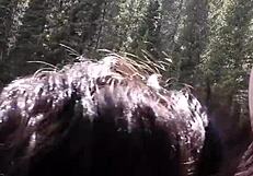 Petite latina sucks huge cock and swallows cum by riverfront