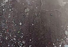 Me Pongo Cachonda Con El Mozo