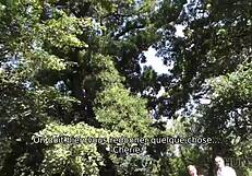 Spoiled wife even while being rammed from behind and her husband’s buddy witnesses it
