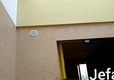 novinha called me for sex