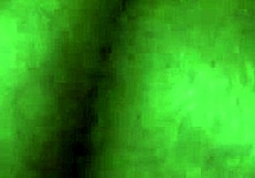 big ass amateur bbw enjoys some casual fun