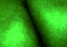 big ass amateur bbw enjoys some casual fun