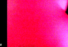 She Loves It, The Skinny Chinese Girl In Doggystyle