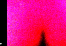 She Loves It, The Skinny Chinese Girl In Doggystyle