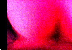 She Loves It, The Skinny Chinese Girl In Doggystyle