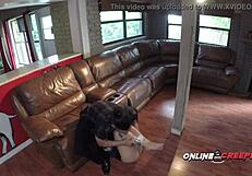 spy cam caught that creep fucking his bound neighbor after some spying 😏