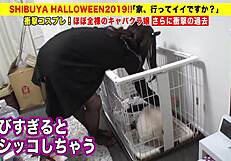 steamy asian blowjob with shaved japanese babe in hot creampie