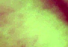 BBW tranny sucking and rimming black ass suggestively